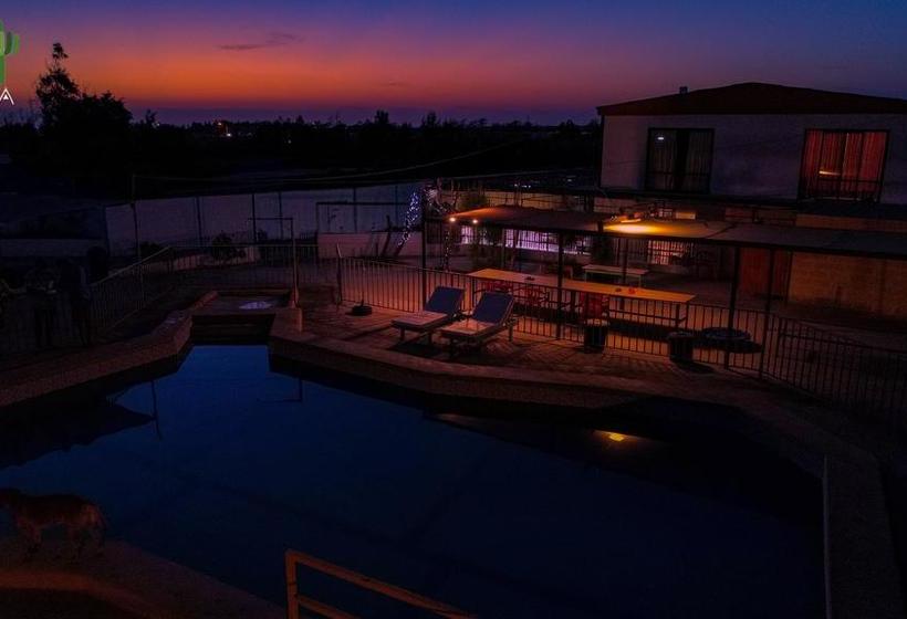 Bed and Breakfast Phuqata Surfcamp | Arica | Tarapaca | Chile 3