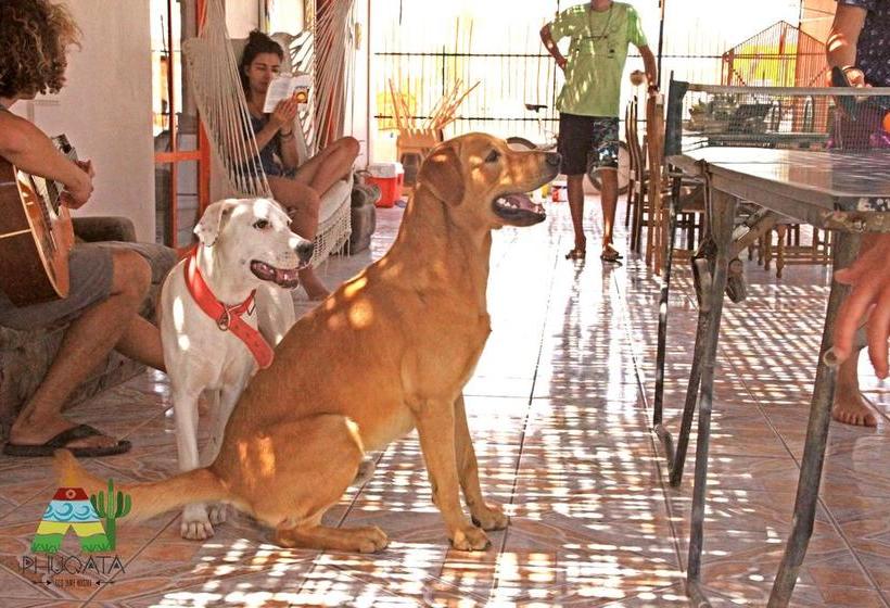 Bed and Breakfast Phuqata Surfcamp | Arica | Tarapaca | Chile 6