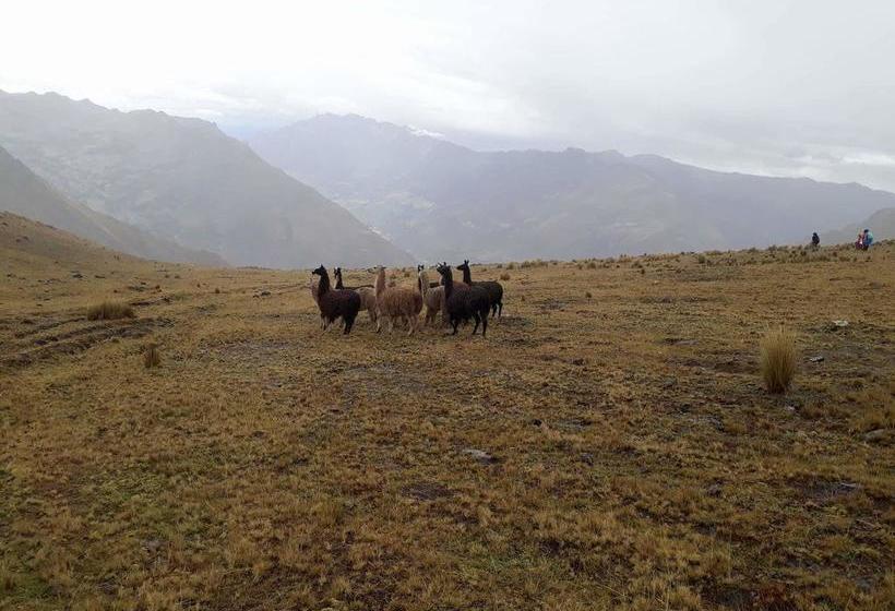 Motel Wachuma Wasi | Pisac | Calca | Perú 6