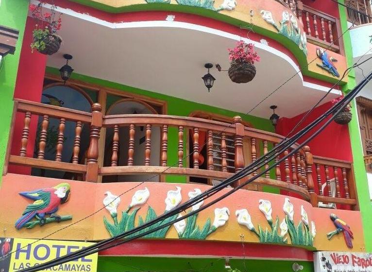 Hotel Las Guacamayas Antioquia