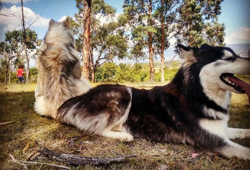 Albergue Ava Family | Villa de Leyva | Boyaca | Colombia 1