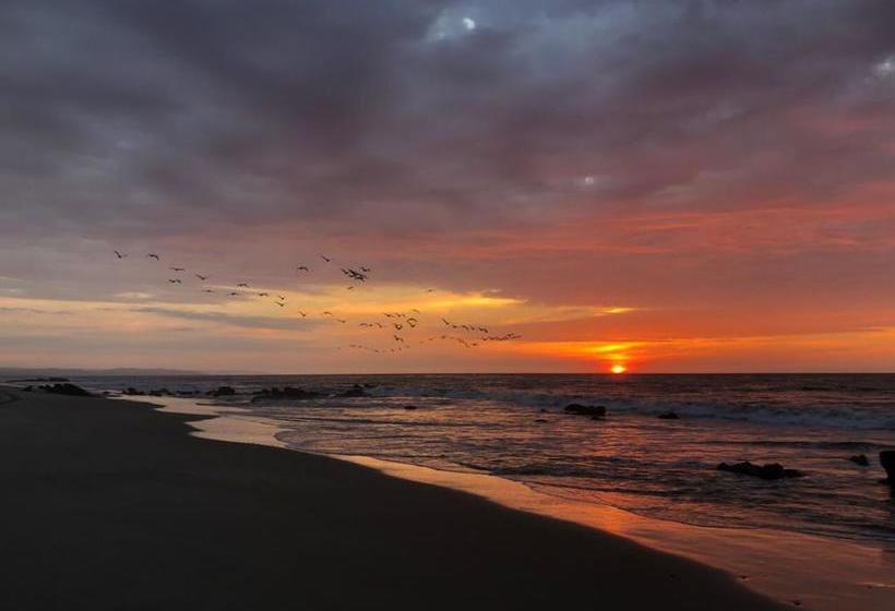 Hotel Perú Hosting  Punta Sal | Tumbes | Tumbes | Perú 15