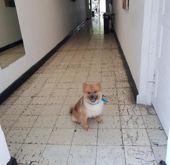 Hostel Crespo Casa Blanca | Cartagena de Indias | Bolivar | Colombia 1