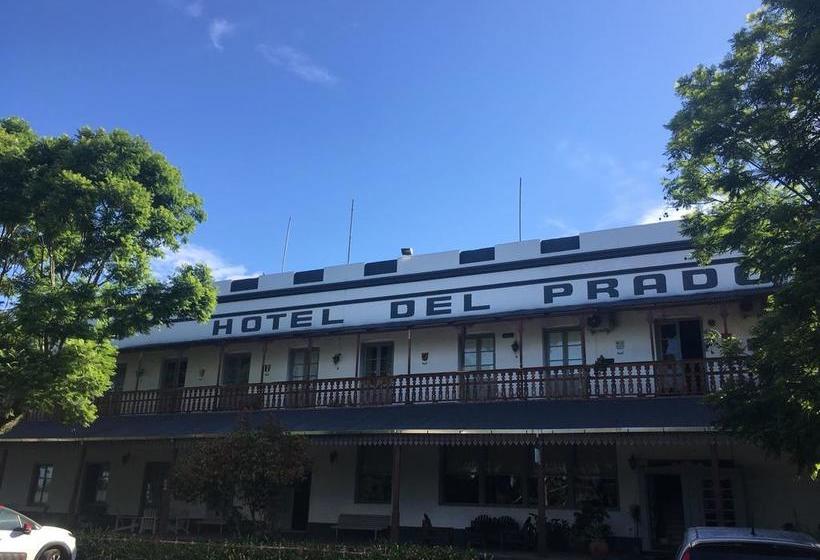 Hotel Del Prado