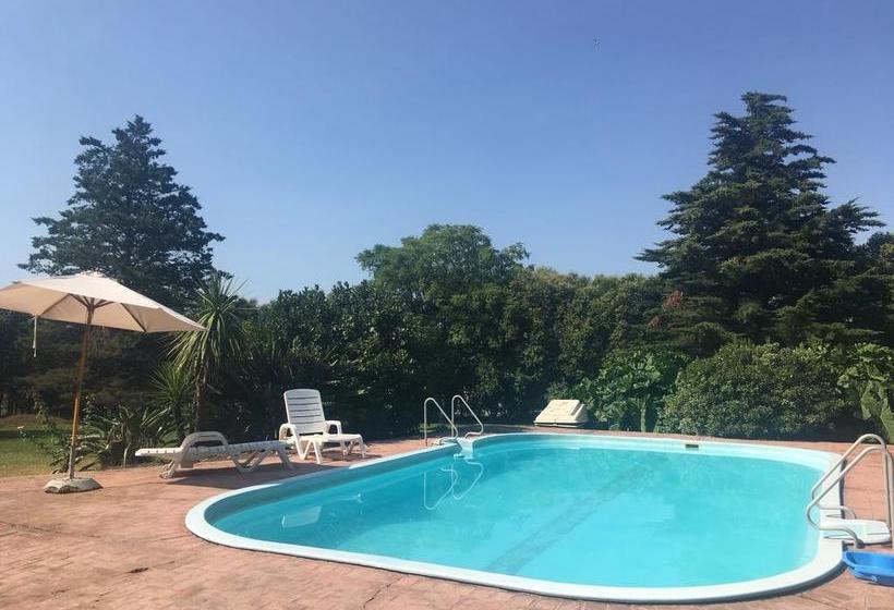 Hotel Del Prado | Colonia Suiza | Colonia | Uruguay 19