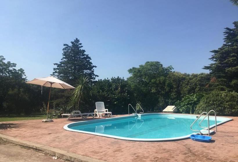 Hotel Del Prado | Colonia Suiza | Colonia | Uruguay 20