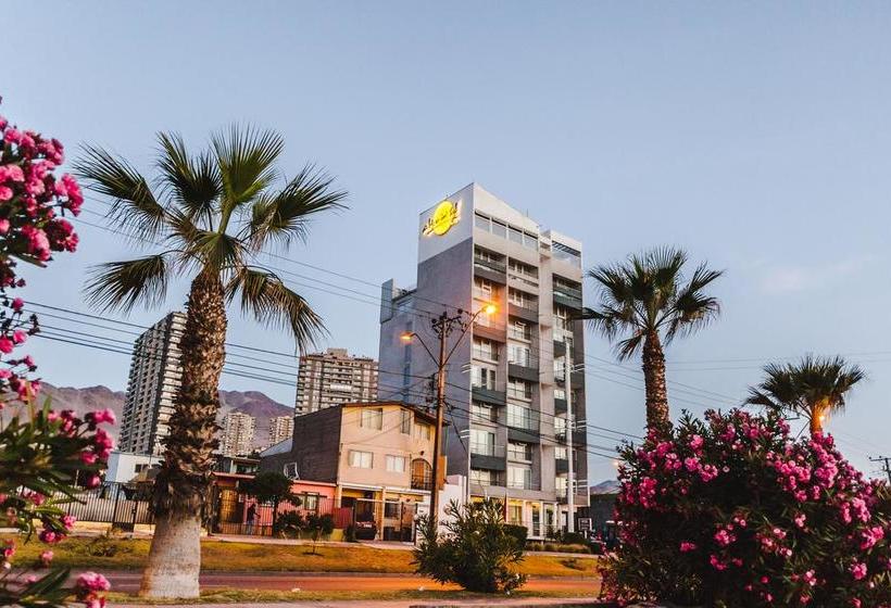 Hotel Alto del Sol Costanera | Antofagasta | Antofagasta | Chile 15