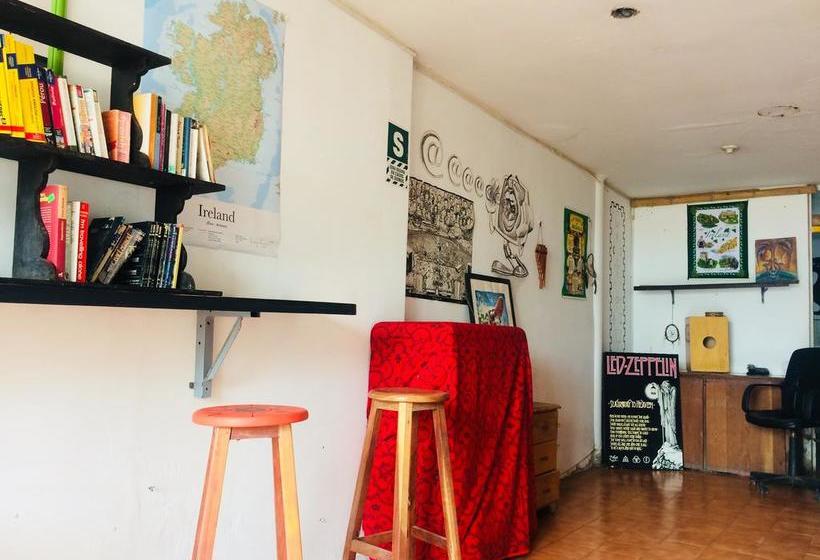 Albergue Mandala | Huanchaco | Trujillo | Perú 10