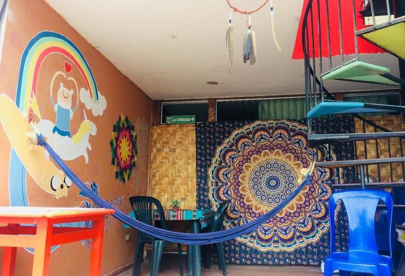 Albergue Mandala | Huanchaco | Trujillo | Perú 11