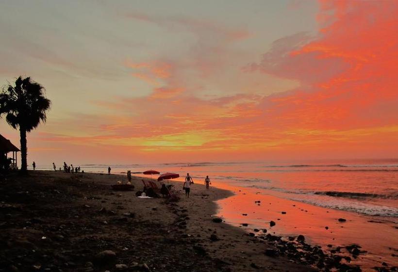 Albergue Mandala | Huanchaco | Trujillo | Perú 13
