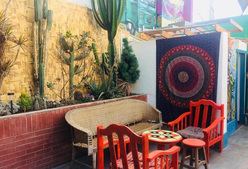 Albergue Mandala | Huanchaco | Trujillo | Perú 17