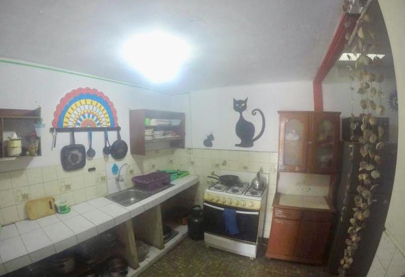 Albergue Mandala | Huanchaco | Trujillo | Perú 18