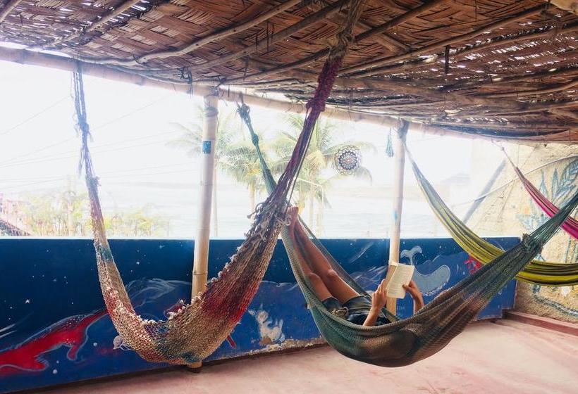 Albergue Mandala | Huanchaco | Trujillo | Perú 9