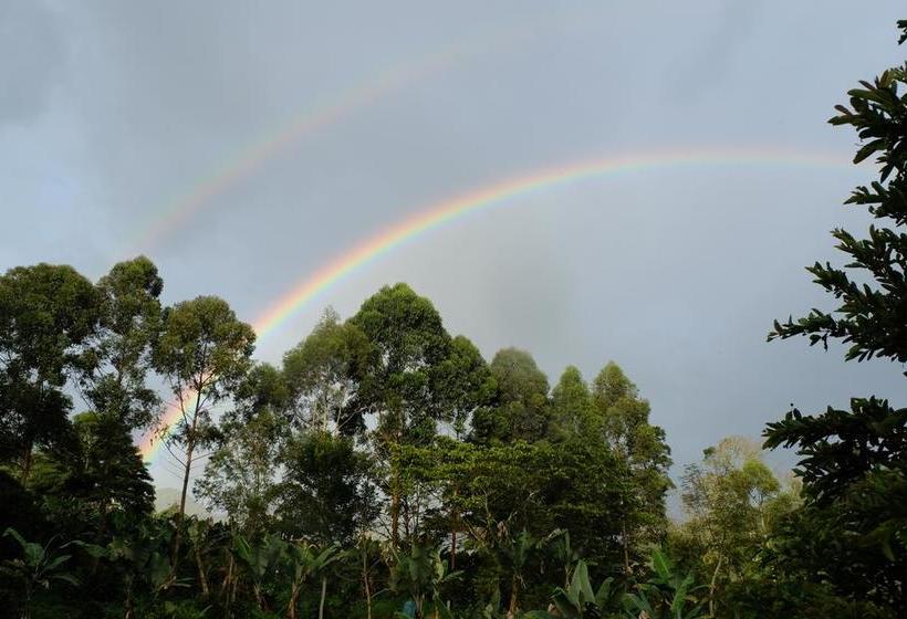 Albergue Ayahuasca Hostal | Jardín | Antioquia | Colombia 11