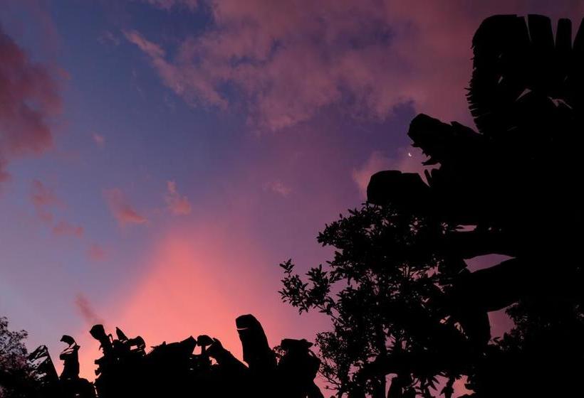 Albergue Ayahuasca Hostal | Jardín | Antioquia | Colombia 13