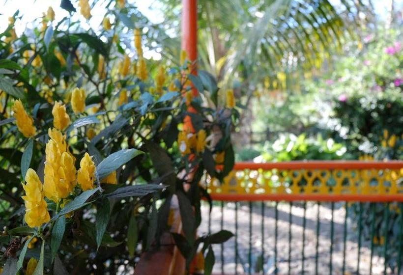 Albergue Ayahuasca Hostal | Jardín | Antioquia | Colombia 14