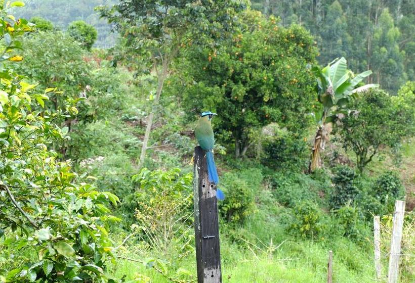 Albergue Ayahuasca Hostal | Jardín | Antioquia | Colombia 18
