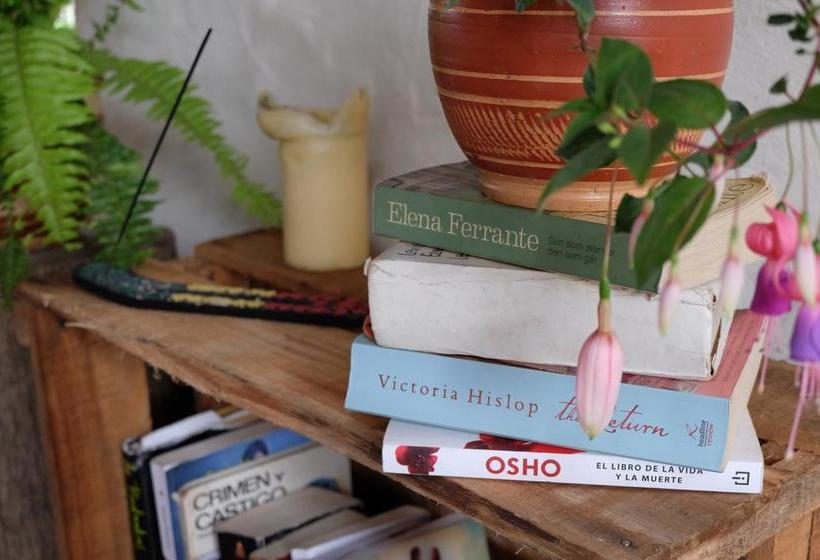 Albergue Ayahuasca Hostal | Jardín | Antioquia | Colombia 7