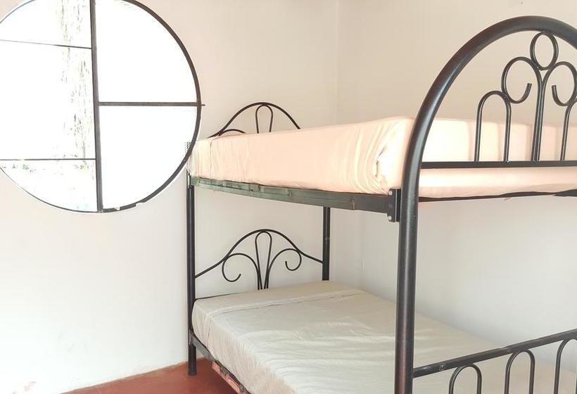 Albergue Mr. Llama Lodge | Ica | Ica | Perú 1