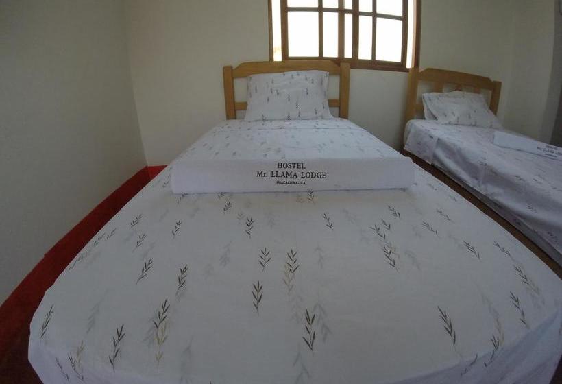 Albergue Mr. Llama Lodge | Ica | Ica | Perú 12