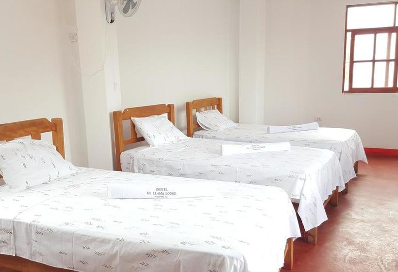 Albergue Mr. Llama Lodge | Ica | Ica | Perú 14