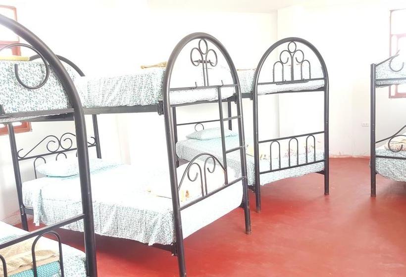 Albergue Mr. Llama Lodge | Ica | Ica | Perú 18