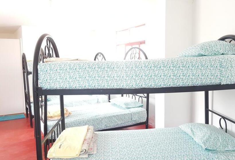 Albergue Mr. Llama Lodge | Ica | Ica | Perú 19