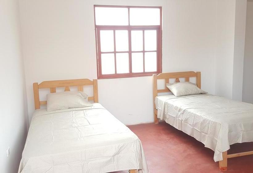 Albergue Mr. Llama Lodge | Ica | Ica | Perú 20