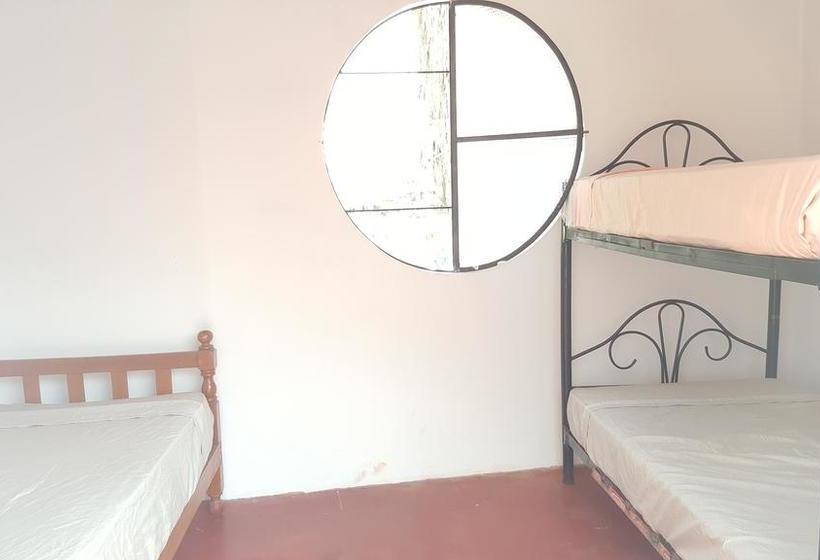 Albergue Mr. Llama Lodge | Ica | Ica | Perú 7