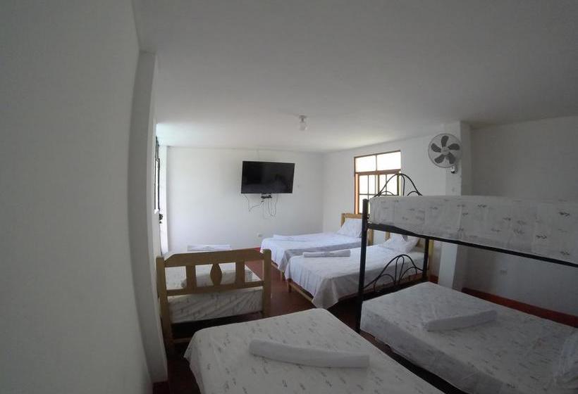 Albergue Mr. Llama Lodge | Ica | Ica | Perú 8