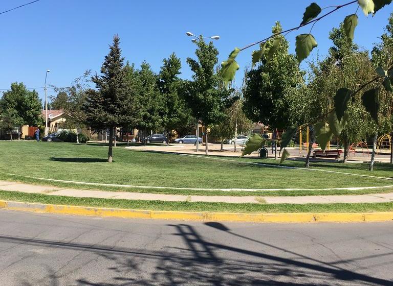 Bed and Breakfast Hostal Cepas Coloniales | Santa Cruz | O'Higgins | Chile 19