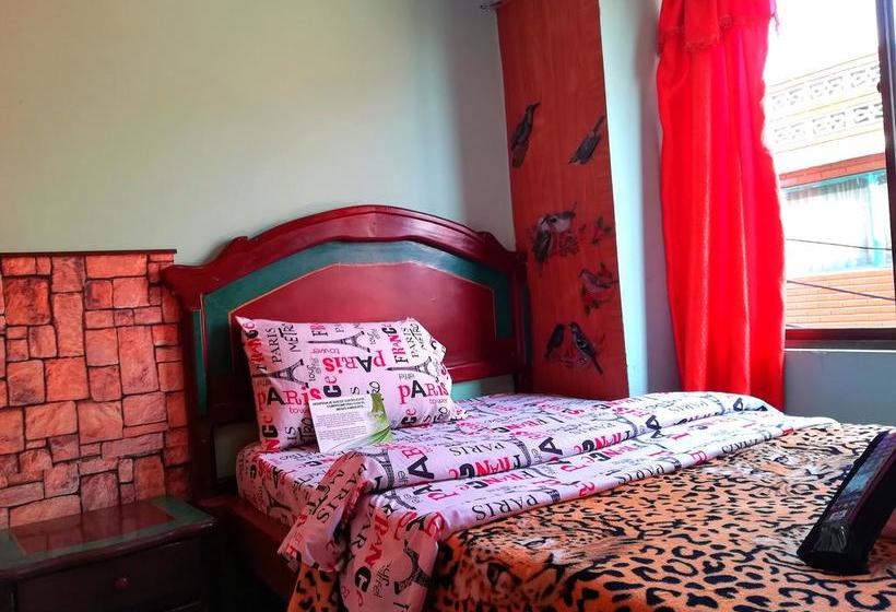 Hotel Dulce Sueño | Bogotá | Distrito Capital | Colombia 15