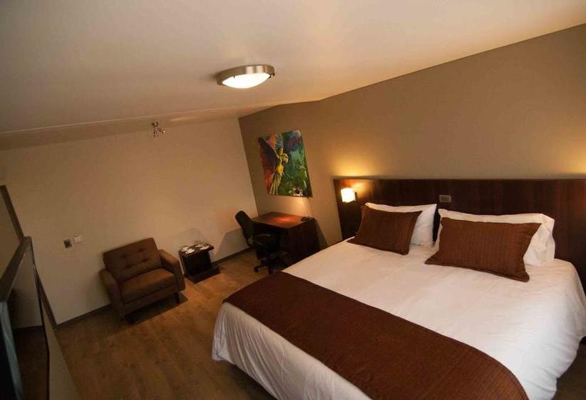 Hotel Manso De Velasco | San Fernando | O'Higgins | Chile 19