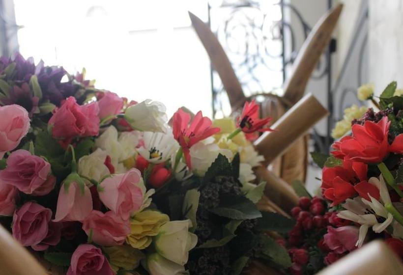 Iraka Hotel Zenu | Sincelejo | Sucre | Colombie 5