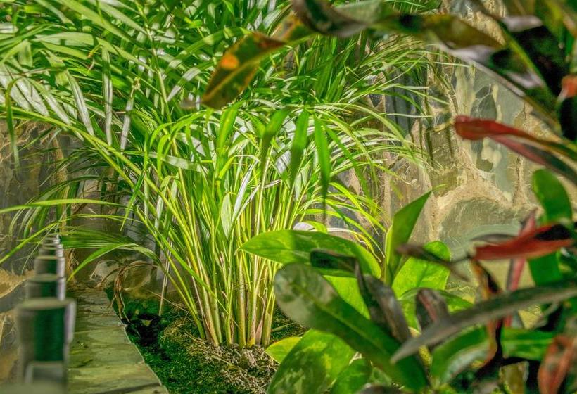 Casa Hotel Granada | Montenegro | Quindío | Colombia 9