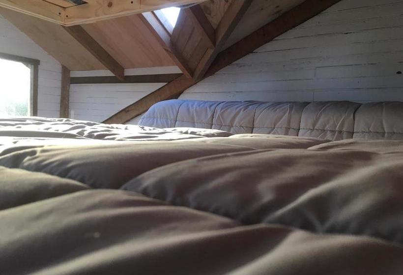 Bed and Breakfast Hostal Climb House | Puerto Varas | Los Lagos | Chile 20