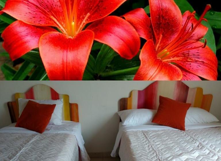 Albergue La Pilonera | Valledupar | Cesar | Colombia 4