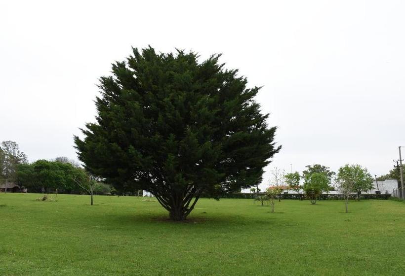 Auberge Hôtelière Posada De Campo San Cono | Mercedes | Soriano | Uruguay 6