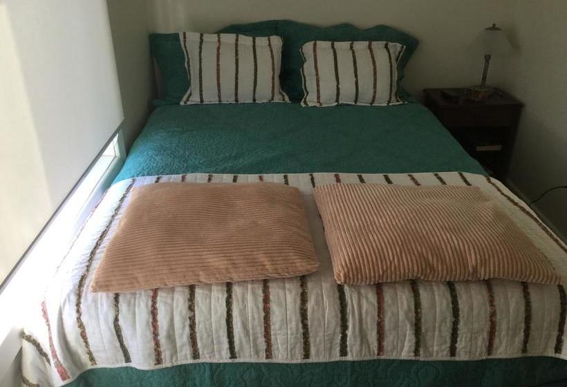 B&b Casa Boliviana Magallanes y Antartica