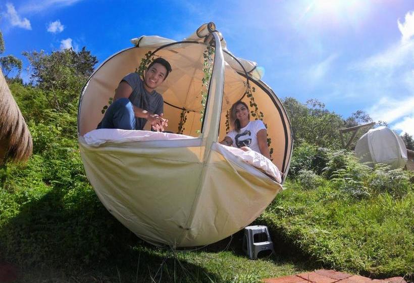 Hotel Levit | Guatapé | Antioquia | Colombia 8