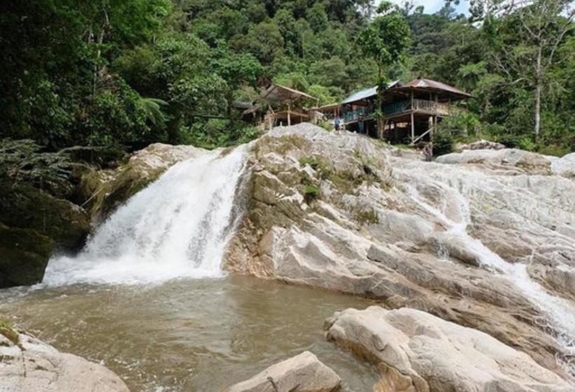 Albergue Wasi Host | Tena | Napo | Ecuador 3