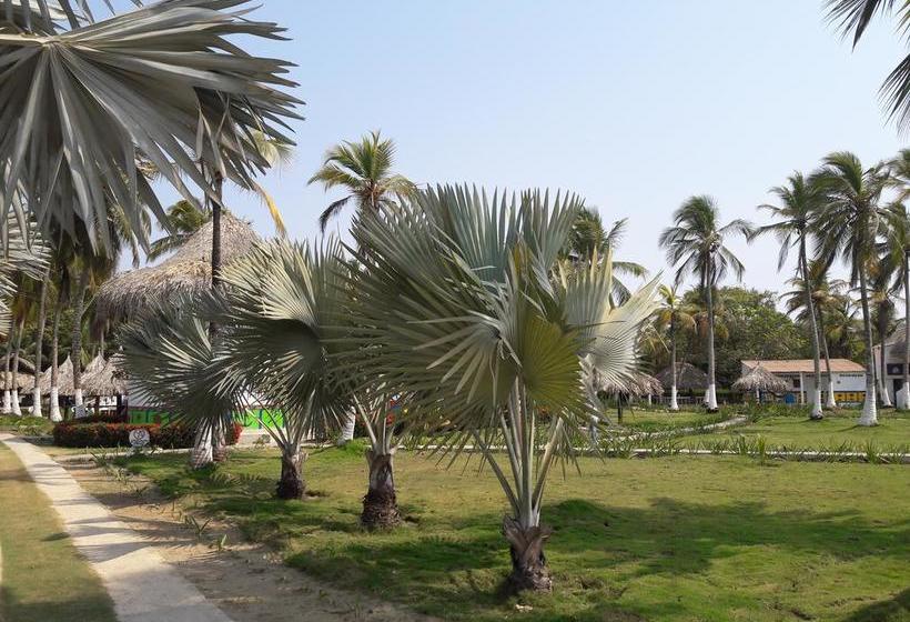 Hotel Paraiso Del Mar | Santiago de Tolu | Sucre | Colombia 4