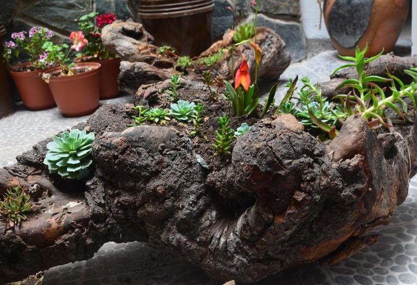 Hotel Balcon De Piedras | Urubamba | Urubamba | Perú 14