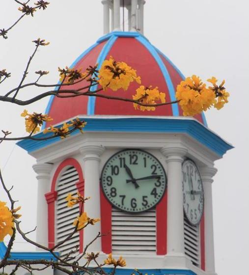 Hotel Sueño Dorado | Aguadas | Caldas | Colombia 13