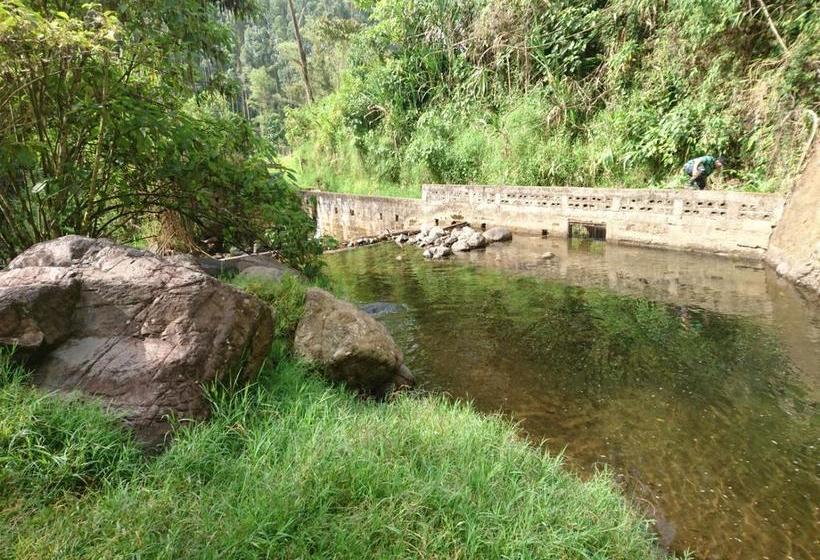 Albergue Hostal Encanto La Salada | Jardín | Antioquia | Colombia 8