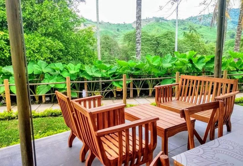 Mandala Hotel Concept | Villeta | Cundinamarca | Colombia 1