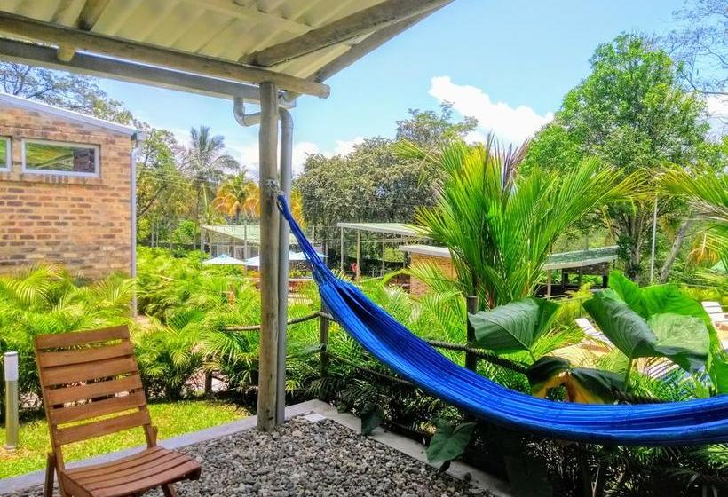 Mandala Hotel Concept | Villeta | Cundinamarca | Colombia 11