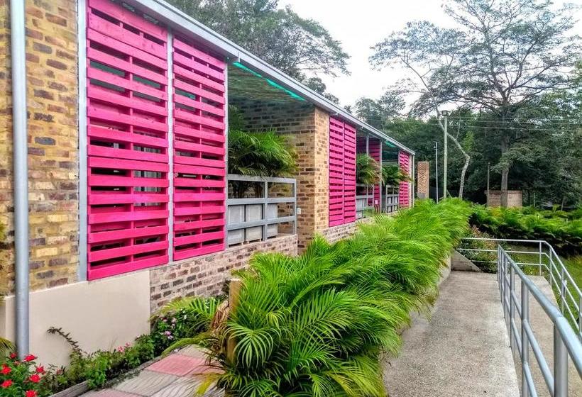 Mandala Hotel Concept | Villeta | Cundinamarca | Colombia 12