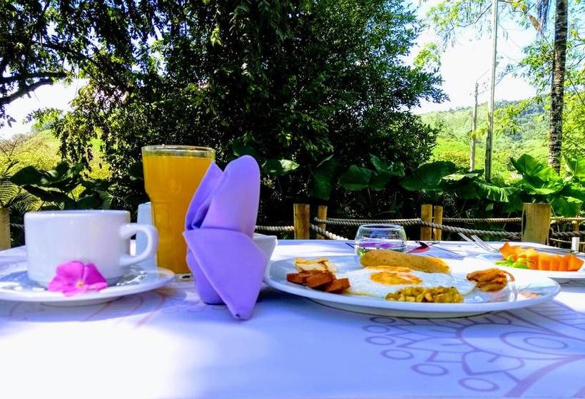 Mandala Hotel Concept | Villeta | Cundinamarca | Colombia 6