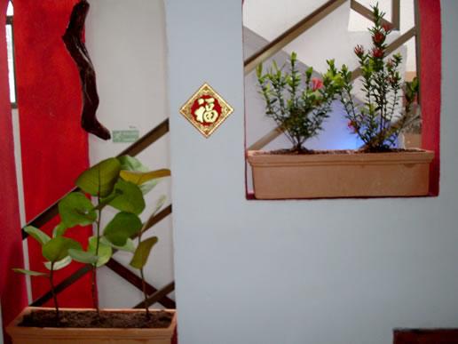 Hotel Red Cay | San Andrés | San Andres y Providencia | Colombia 10